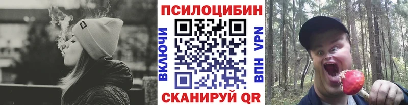 OMG как войти  Любань  Галлюциногенные грибы Psilocybine cubensis 